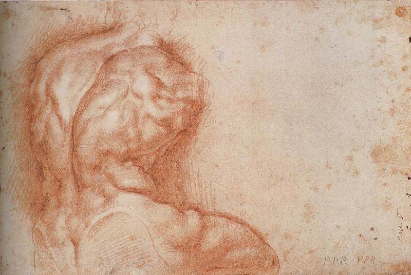 Peter Paul Rubens Facsimile form Torso belvedere Spain oil painting art